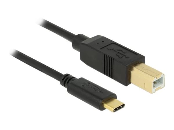 Delock - USB-kabel - 24 pin USB-C (hane) till USB typ B (hane) - USB 2.0 - 3 A - 3 m - svart
