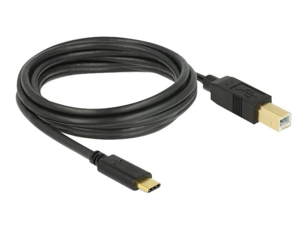Delock - USB-kabel - 24 pin USB-C (hane) till USB typ B (hane) - USB 2.0 - 3 A - 3 m - svart