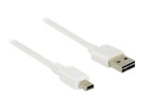 Delock Easy - USB-kabel - USB (hane) vändbar till mini-USB typ B (hane) - USB 2.0 - 50 cm - vit