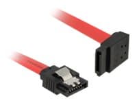 Delock - SATA-kabel - Serial ATA 150/300/600 - SATA (hann) til SATA (hann) - 20 cm - låst, venstrevinklet kontakt - rød