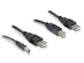Miniatyrbilde 3 av 4: Delock - Strømkabelsett - USB (hann) til USB-type B, LS-jack 2,1 mm (hann) - 30 cm