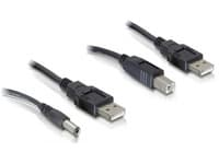 Delock - Strømkabelsett - USB (hann) til USB-type B, LS-jack 2,1 mm (hann) - 30 cm