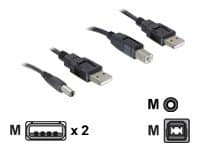 Delock - Strømkabelsett - USB (hann) til USB-type B, LS-jack 2,1 mm (hann) - 30 cm