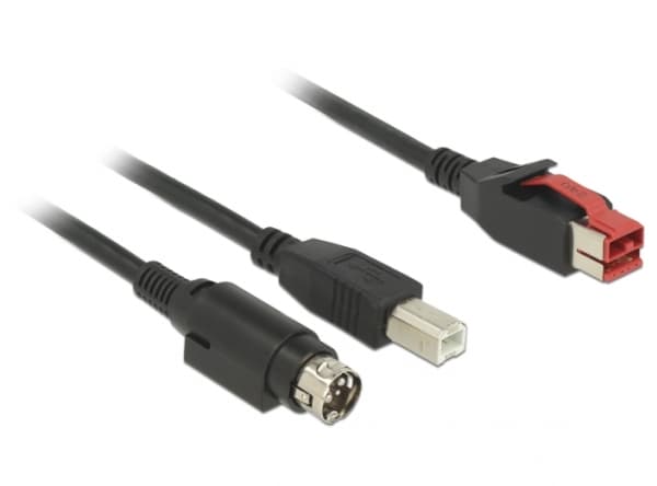 Delock - USB-kabel med egen strömförsörjning - USB PlusPower (24 V) (hane) till USB typ B, Ström mini-DiN (hane) - 24 V - 5 m - svart