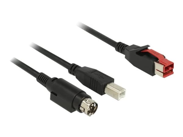 Delock - USB-kabel med egen strömförsörjning - USB PlusPower (24 V) (hane) till USB typ B, Ström mini-DiN (hane) - 24 V - 5 m - svart