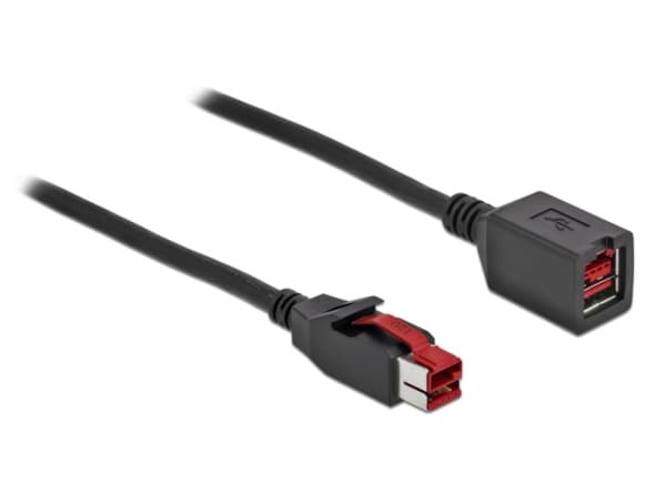 Delock - PoweredUSB extension cable - USB PlusPower (24 V) (hann) til USB PlusPower (24 V) (hunn) - 24 V - 3 m - svart