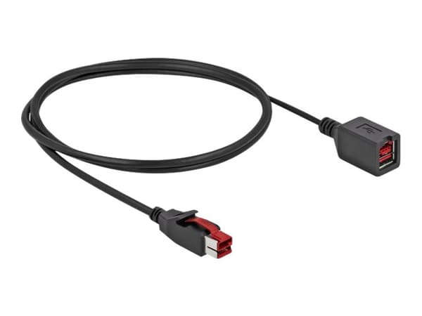 Delock - PoweredUSB extension cable - USB PlusPower (24 V) (hann) til USB PlusPower (24 V) (hunn) - 24 V - 3 m - svart