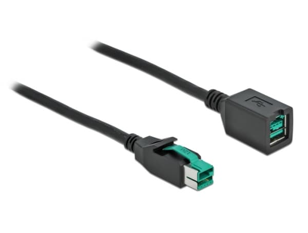 Delock - PoweredUSB-forlængerkabel - USB PlusPower (12 V) (han) til USB PlusPower (12 V) (hun) - 12 V - 2 m - lajittelu
