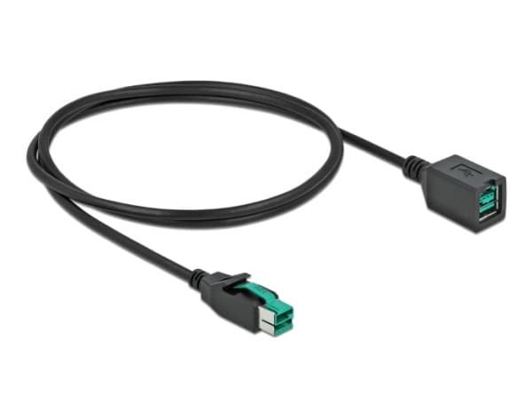 Delock - PoweredUSB extension cable - USB PlusPower (12 V) (hann) til USB PlusPower (12 V) (hunn) - 12 V - 1 m - svart