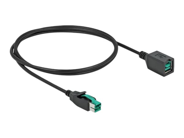 Delock - PoweredUSB extension cable - USB PlusPower (12 V) (hann) til USB PlusPower (12 V) (hunn) - 12 V - 1 m - svart