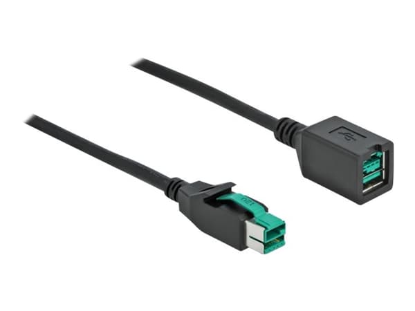 Delock - PoweredUSB extension cable - USB PlusPower (12 V) (hann) til USB PlusPower (12 V) (hunn) - 12 V - 1 m - svart