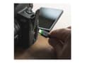 Miniatyrbilde 2 av 5: Green Cell Cell Ray - USB-kabel - 24 pin USB-C (hann) grønn LED-belysning til USB (hann) - 2 m - svart