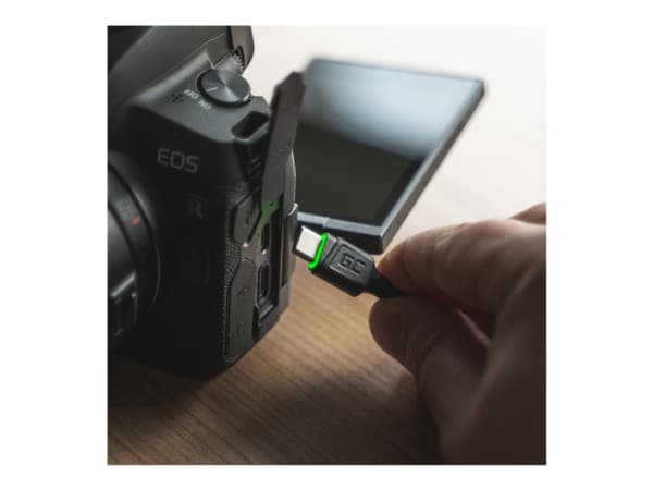 Green Cell Cell Ray - USB-kabel - 24 pin USB-C (hann) grønn LED-belysning til USB (hann) - 2 m - svart