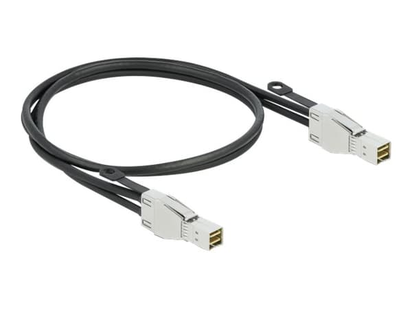 Delock - SAS ekstern kabel - SAS 32Gbit/s - Mini SAS HD (SFF-8674) (hann) til Mini SAS HD (SFF-8674) (hann) - 2 m