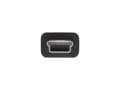 Miniatyrbild 3 av 5: InLine 33107N, 1,5 m, USB A, Mini-USB B, USB 2.0, Man/Female, Svart