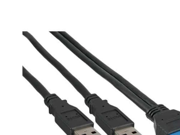 InLine 33447I, 0,4 m, 2 x USB, USB 3.2 Gen 1 (3.1 Gen 1), Hankjønn/hankjønn, 5 Gbit/s, Sort