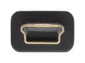 Pikkukuva 3 / 5: InLine 31803F, 0,3 m, USB A, Mini-USB B, USB 2.0, Musta