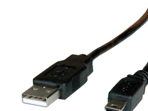 ROLINE 3m USB 2.0, 3 m, USB A, Mini-USB A, USB 2.0, Hankjønn/hankjønn, Sort