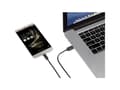Miniatyrbild 2 av 5: Renkforce RF-4536470, 0,15 m, USB A, USB C, USB 3.2 Gen 1 (3.1 Gen 1), 500 Mbit/s, Svart