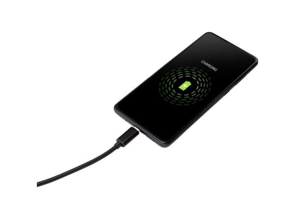 Renkforce RF-4547682, 1,8 m, USB A, USB C, USB 2.0, 0,48 Gbit/s, Sort