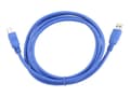 Miniatyrbild 3 av 5: Gembird - USB-kabel - USB typ A (hane) till USB Type B (hane) - USB 3.0 - 1.8 m - formpressad - blå