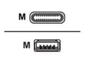 Pikkukuva 1 / 3: Huddly - USB-kaapeli - USB Type A (han) til 24 pin USB-C (han) - USB 3.0 - 1,15 m - 1,15 m