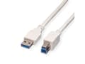 Pikkukuva 3 / 4: Value USB A/USB B 0.8m, 0,8 m, USB A, USB B, USB 3.2 Gen 1 (3.1 Gen 1), Uros/uros, Valkoinen