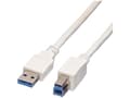 Pikkukuva 2 / 4: Value USB A/USB B 0.8m, 0,8 m, USB A, USB B, USB 3.2 Gen 1 (3.1 Gen 1), Uros/uros, Valkoinen