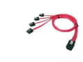 Miniatyrbilde 2 av 3: Chenbro - SATA/SAS-kabel - 4-spors - SATA til 36-pins 4i Mini MultiLane - 60 cm - for Chenbro RM21508, RM23212, SR10566, SR10567, SR108, SR10866, SR1
