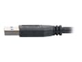 Miniatyrbilde 3 av 5: C2G - USB-kabel - USB-type A (hann) til USB-type A (hann) - USB 3.0 - 2 m - svart