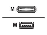 Insmat - USB-kabel - 24 pin USB-C (hane) till 24 pin USB-C (hane) - USB 2.0 - 1 m