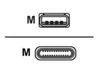 Huddly - USB-kabel - USB-type A (hann) til 24 pin USB-C (hann) - USB 3.1 Gen 1 - 5 V - 2 A - 60 cm - svart - for IQ