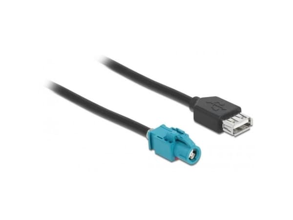 Delock - Datakabel - HSD Z hona till USB hona - 1 m