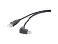 Pikkukuva 5 / 5: Renkforce RF-4613068, 0,5 m, USB A, USB B, USB 2.0, 480 Mbit/s, Lajittelu