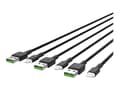 Miniatyrbild 1 av 5: Green Cell Ray - Lightning-kabel - Lightning hane till USB hane - 200 cm - dubbelt skärmad - svart (paket om 3)