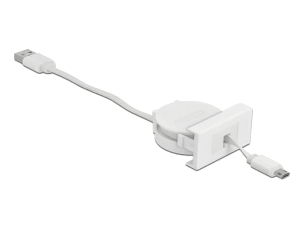 Delock - USB-kabel - USB (hann) til Micro-USB type B (hann) - USB 2.0 - 5 V - 2 A - 50 cm - tilbaketrekkbar, flat - hvit, RAL 9003