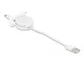 Miniatyrbilde 2 av 4: Delock - USB-kabel - USB (hann) til Micro-USB type B (hann) - USB 2.0 - 5 V - 2 A - 50 cm - tilbaketrekkbar, flat - hvit, RAL 9003