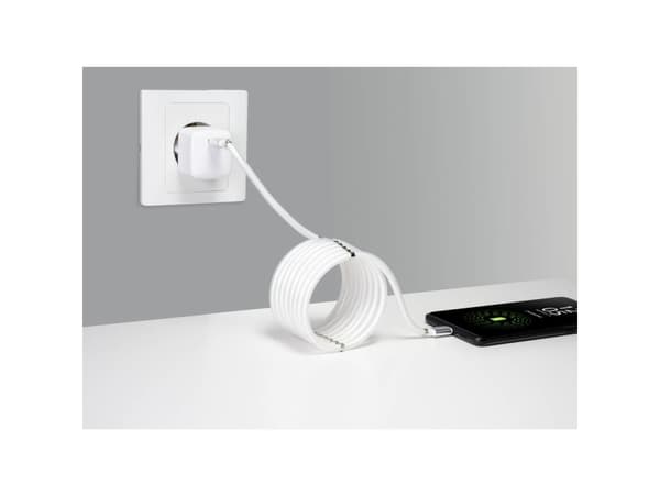 Renkforce TO-6899481, 1 m, USB C, USB C, USB 2.0, 480 Mbit/s, Valkoinen
