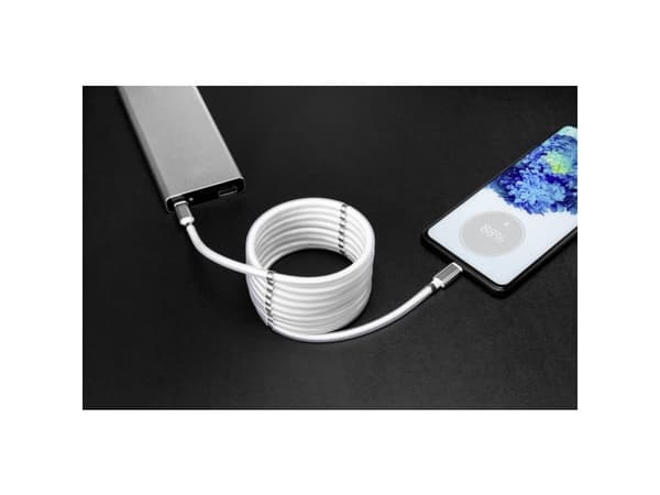 Renkforce TO-6899481, 1 m, USB C, USB C, USB 2.0, 480 Mbit/s, Valkoinen