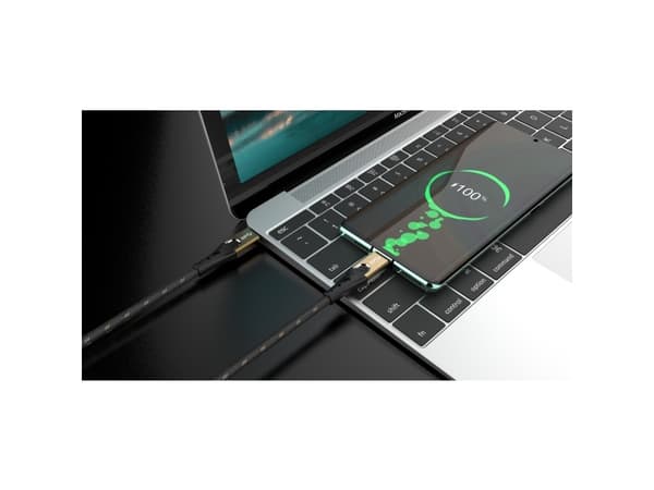 Oehlbach USB-kabel USB 3.2 Gen2 (USB 3.1 Gen2) USB-C®-kontakt, USB-C®-kontakt 0,50 m Svart/guld D1C9530