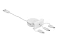 Miniatyrbild 1 av 5: Delock Easy - Lightning-kabel - USB hane till mikro-USB typ B, Lightning, 24 pin USB-C hane - 50 cm - vit, RAL 9003 - indragbar, platt