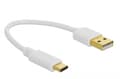 Miniatyrbilde 3 av 5: Delock - USB-kabel - USB (kun strøm) (hann) til USB-C (kun strøm) (hann) - 3 A - 15 cm - hvit