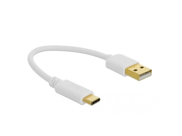 Delock - USB-kabel - USB (kun strøm) (hann) til USB-C (kun strøm) (hann) - 3 A - 15 cm - hvit