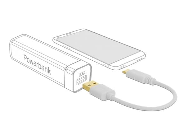 Delock - USB-kabel - USB (kun strøm) (hann) til USB-C (kun strøm) (hann) - 3 A - 15 cm - hvit