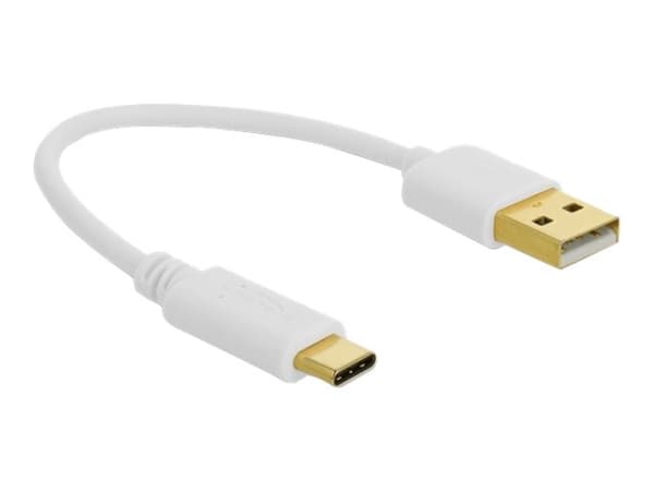 Delock - USB-kabel - USB (kun strøm) (hann) til USB-C (kun strøm) (hann) - 3 A - 15 cm - hvit