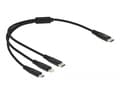 Miniatyrbild 3 av 4: Delock 3 in 1 - Dedikerad laddningskabel - 24 pin USB-C hane till mikro-USB typ B, Lightning, 24 pin USB-C hane - 30 cm - svart