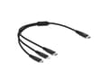 Miniatyrbild 4 av 4: Delock 3 in 1 - Dedikerad laddningskabel - 24 pin USB-C hane till mikro-USB typ B, Lightning, 24 pin USB-C hane - 30 cm - svart