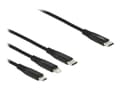 Miniatyrbild 2 av 4: Delock 3 in 1 - Dedikerad laddningskabel - 24 pin USB-C hane till mikro-USB typ B, Lightning, 24 pin USB-C hane - 30 cm - svart