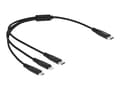 Miniatyrbild 1 av 4: Delock 3 in 1 - Dedikerad laddningskabel - 24 pin USB-C hane till mikro-USB typ B, Lightning, 24 pin USB-C hane - 30 cm - svart