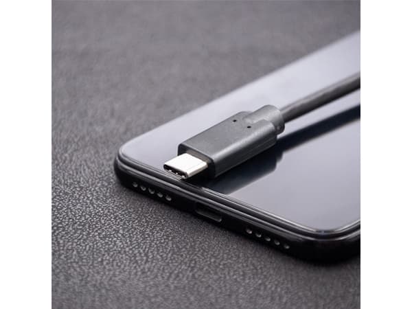 Qoltec - USB-kabel - 24 pin USB-C (hann) til 24 pin USB-C (hann) - USB 3.1 - 0.8 A - 2.5 m - svart